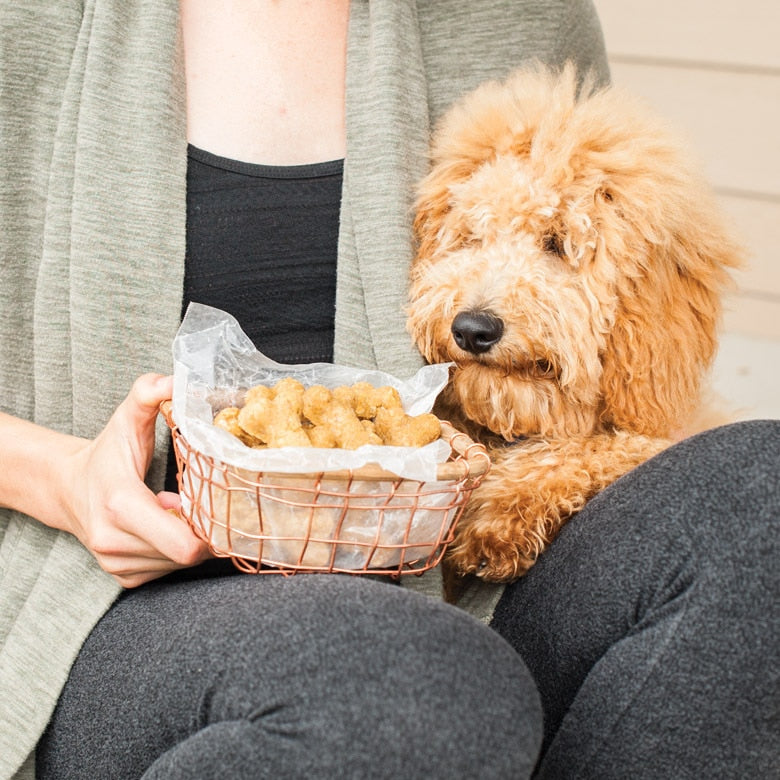 Plaque à friandises pour chien    - Nordic Ware - Moule à gâteaux -  - La Guilde Culinaire