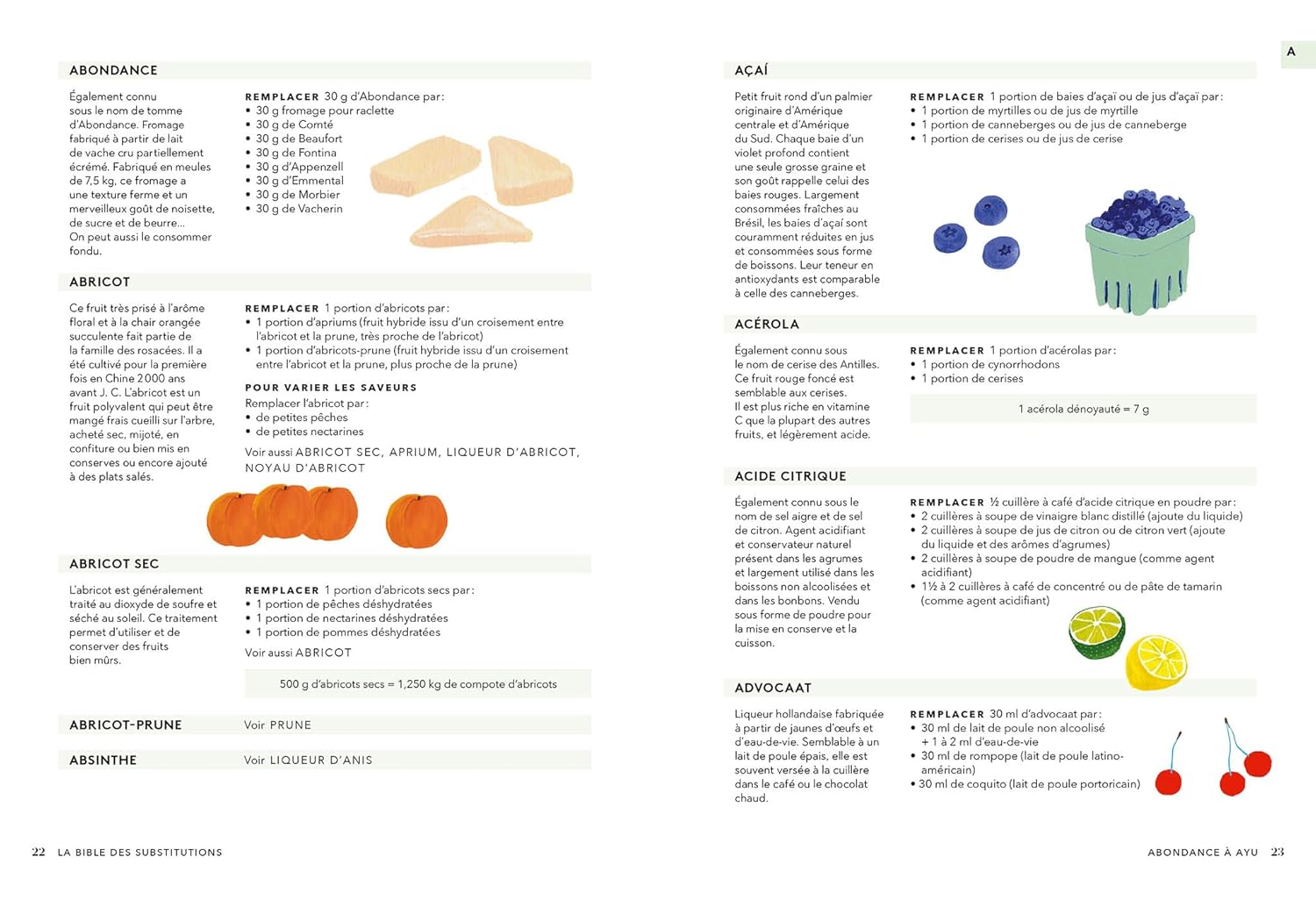 La bible des substitutions    - Hachette Ed. - Livre de cuisine -  - La Guilde Culinaire