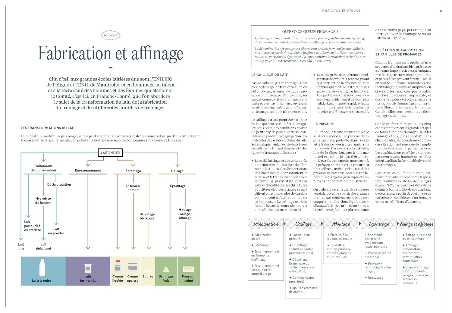 Tout un fromage : L'encyclopédie calée et décalée du fromage - Hachette Ed. - Livre de cuisine - - La Guilde Culinaire