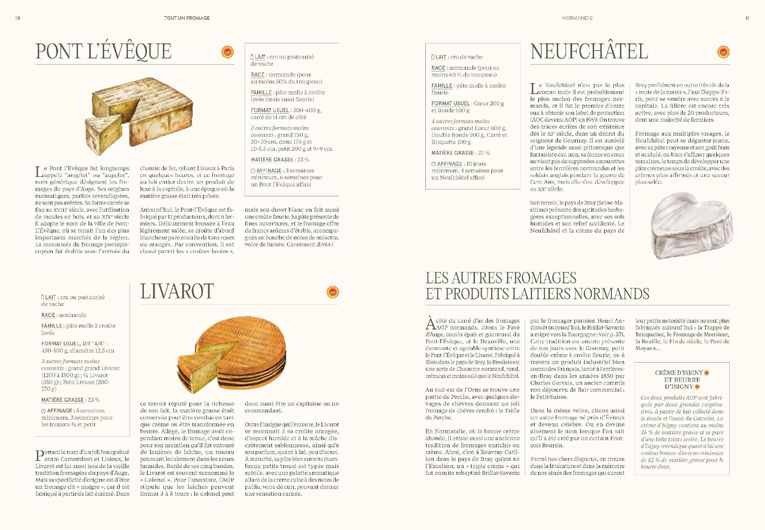 Tout un fromage : L'encyclopédie calée et décalée du fromage - Hachette Ed. - Livre de cuisine - - La Guilde Culinaire