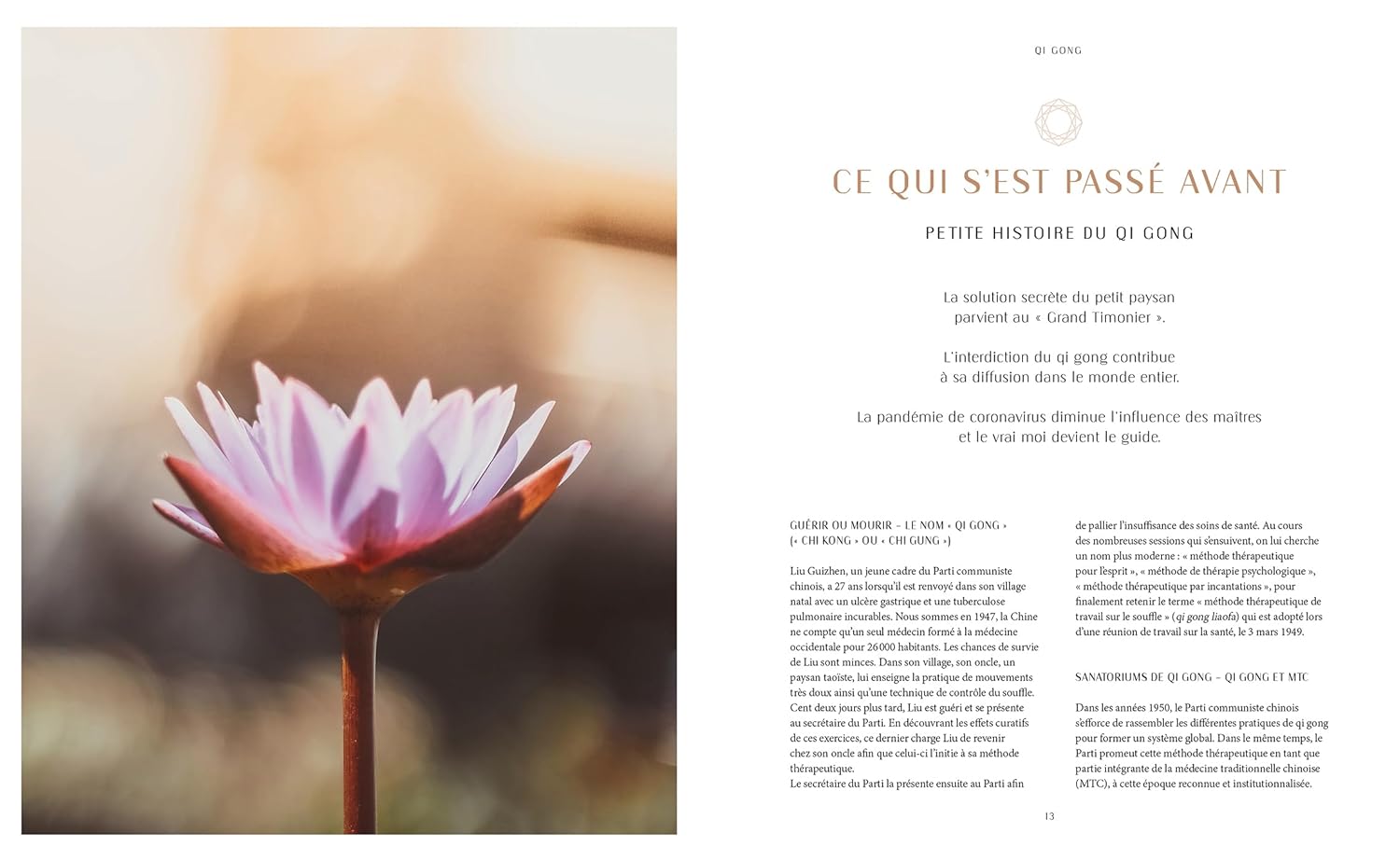 Qi Gong: Renforcez votre énergie vitale    - Hachette Ed. - Livre de cuisine - 