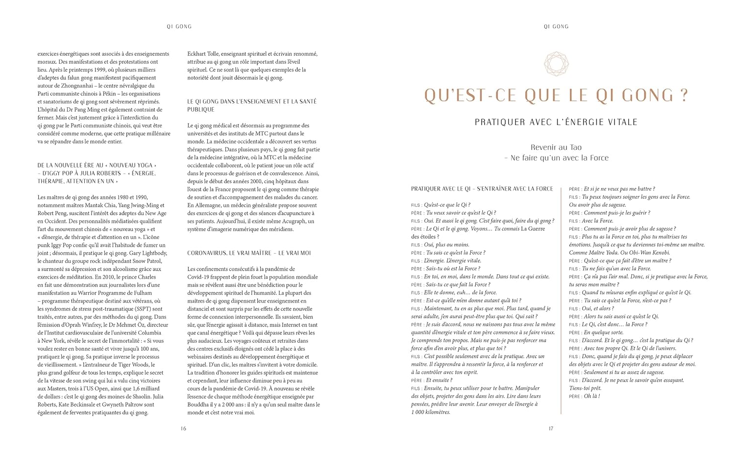 Qi Gong: Renforcez votre énergie vitale    - Hachette Ed. - Livre de cuisine -  - La Guilde Culinaire