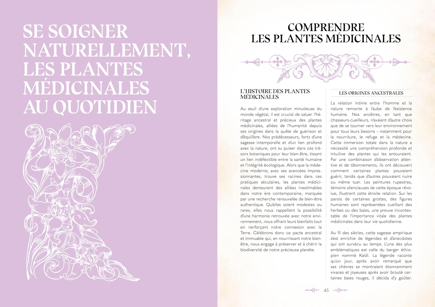 Le grimoire du magicien    - La Plage Ed. - Livre de cuisine -  - La Guilde Culinaire