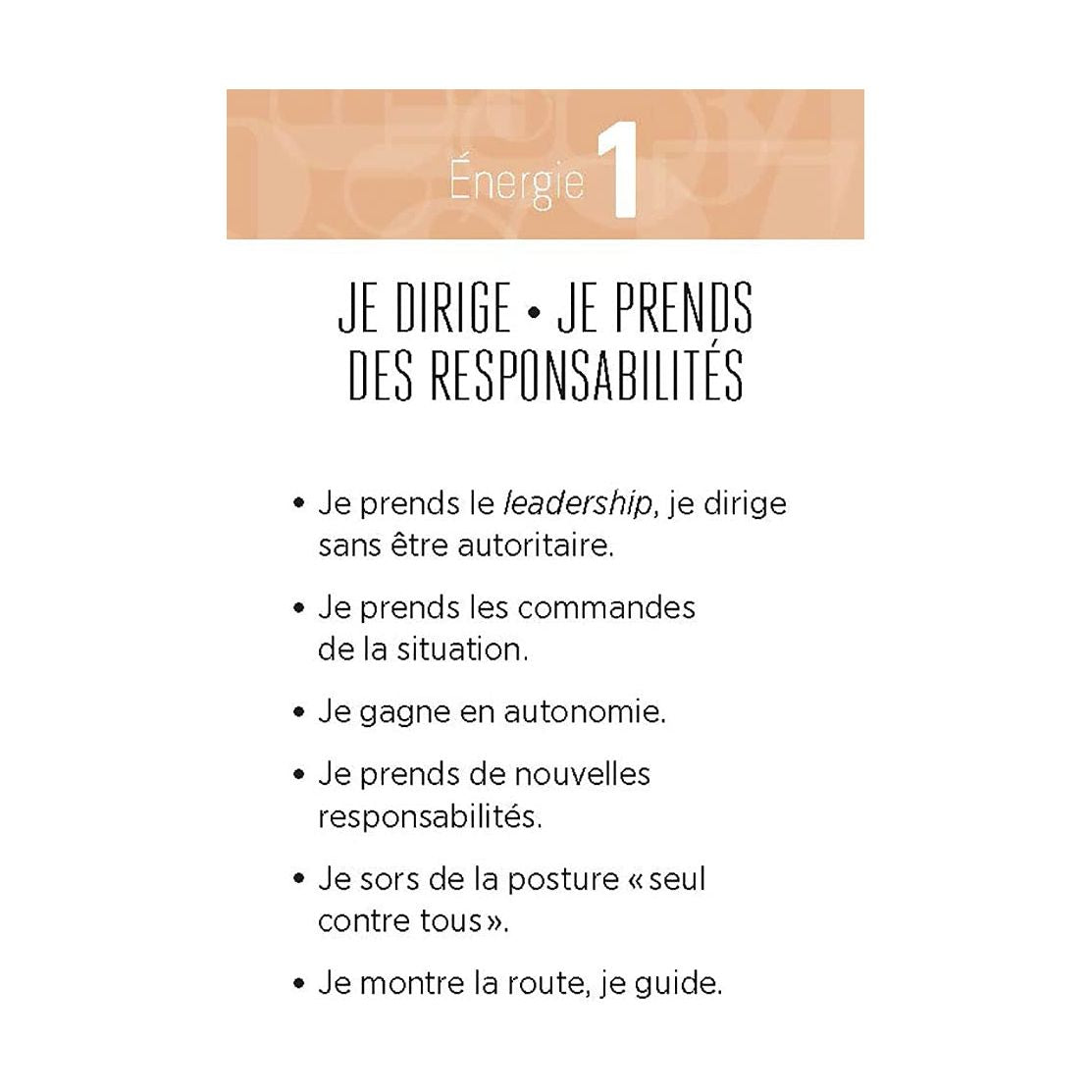 La Numérologie en action : 1 problème = 1 solution    - Le Courrier du Livre - Livre de psychologie -  - La Guilde Culinaire