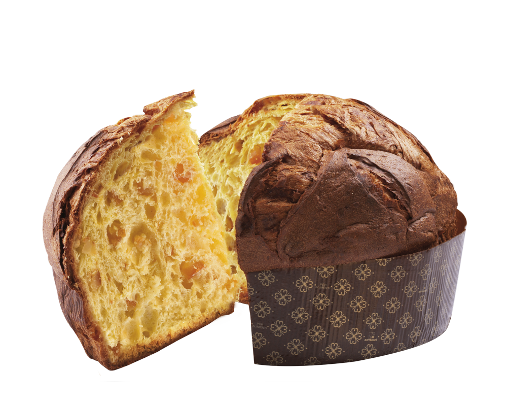 Panettone aux écorces de citron confites et chocolat blanc 500g    - Filippi Pâtisserie - Panettone -  - La Guilde Culinaire